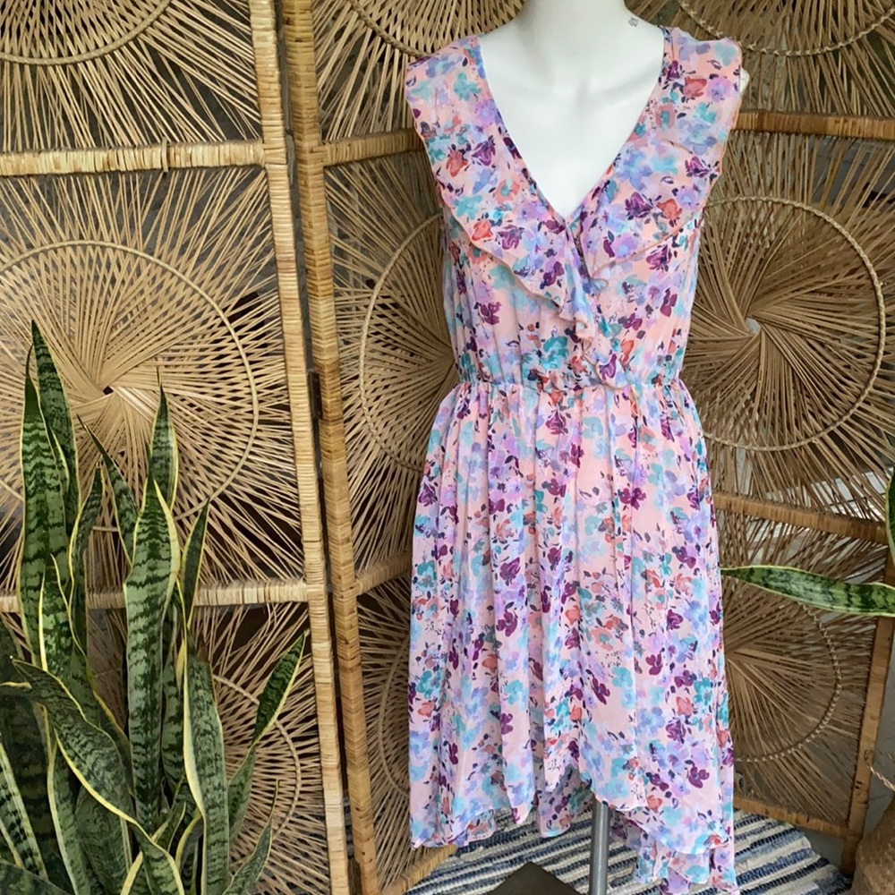 Disney Cinderella Collection Floral Ruffle Dress